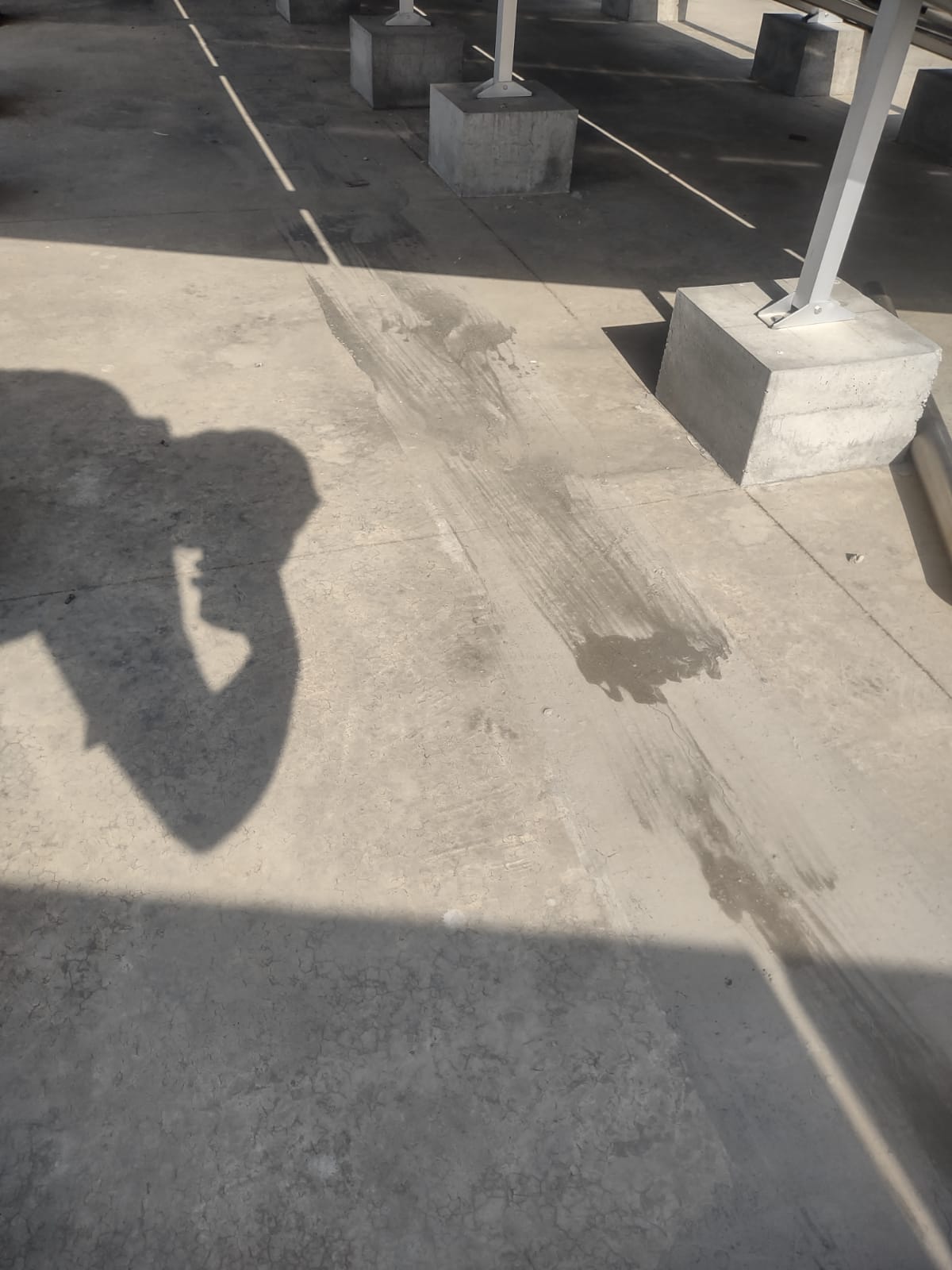 WhatsApp Image 2025-06-13 at 4.36.37 PM (1)