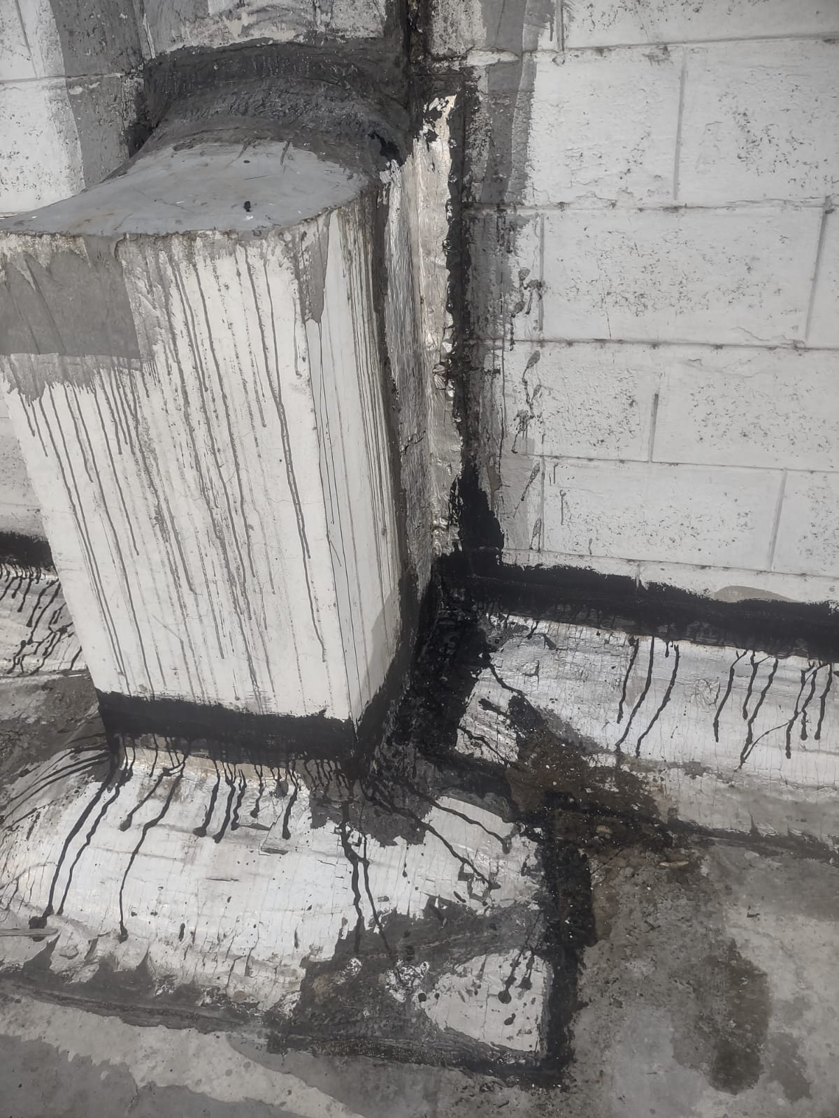 WhatsApp Image 2025-06-13 at 4.36.39 PM (2)