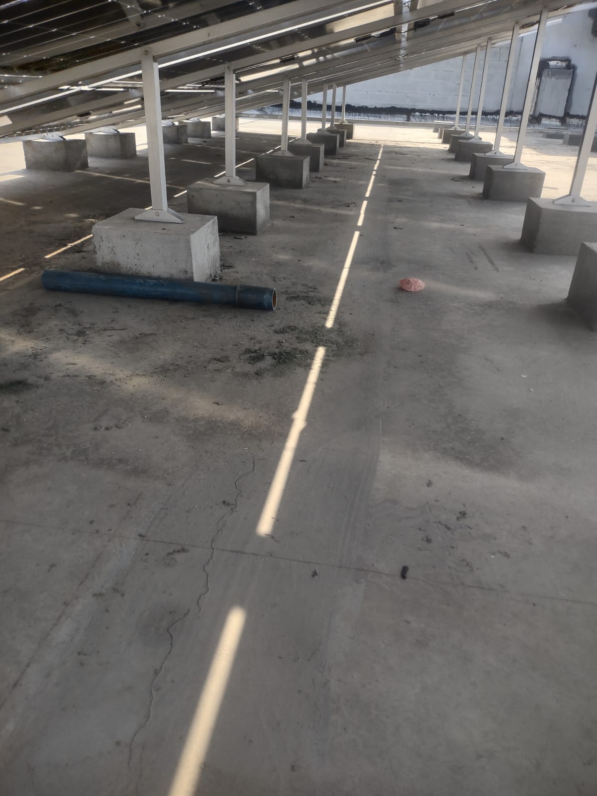 WhatsApp Image 2025-06-13 at 4.36.39 PM