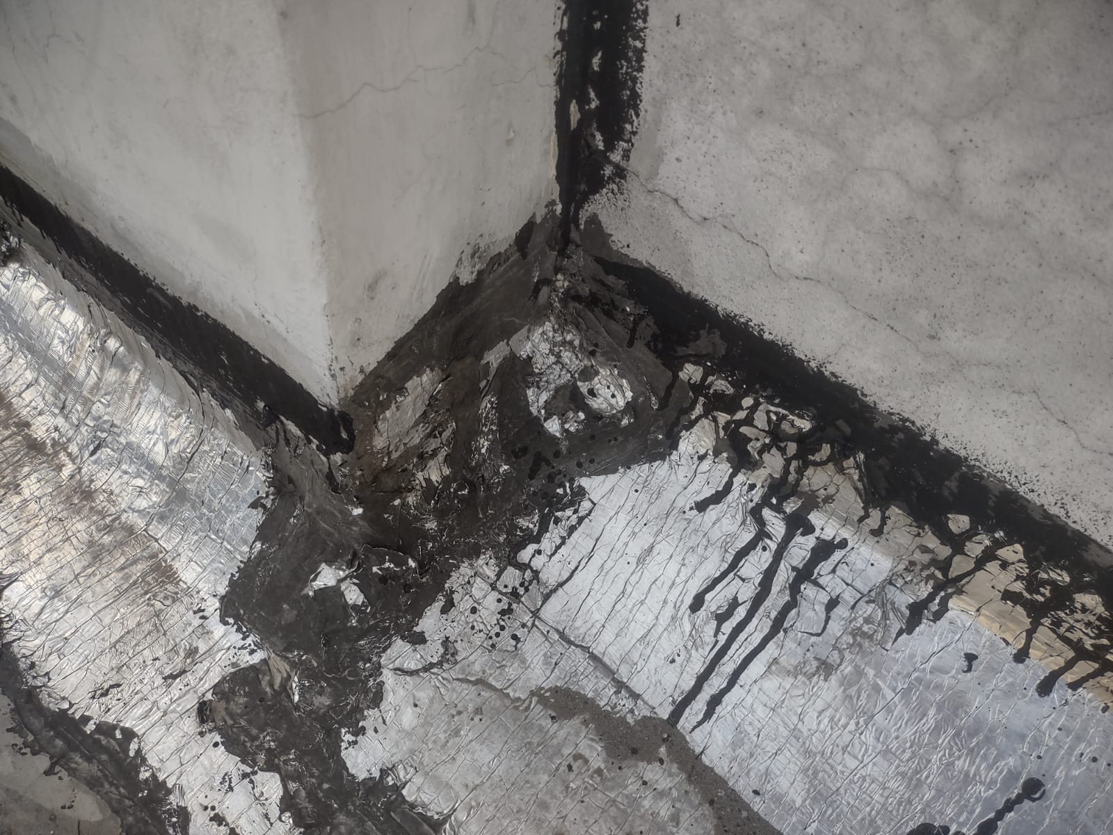 WhatsApp Image 2025-06-13 at 4.36.44 PM