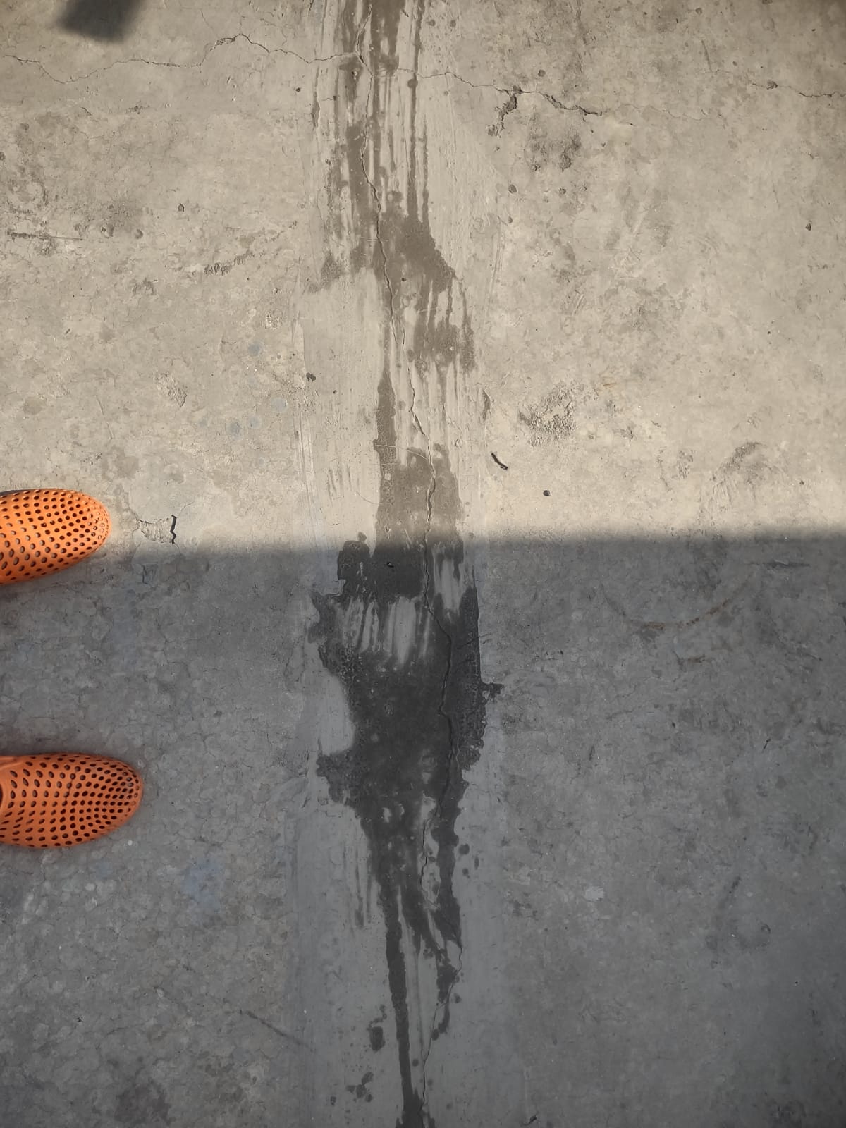 WhatsApp Image 2025-06-13 at 4.36.45 PM (1)